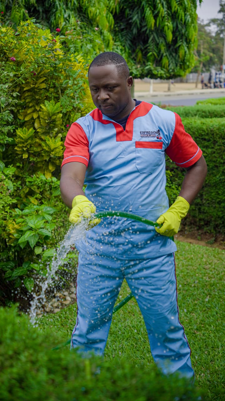 Manutenção ornamental